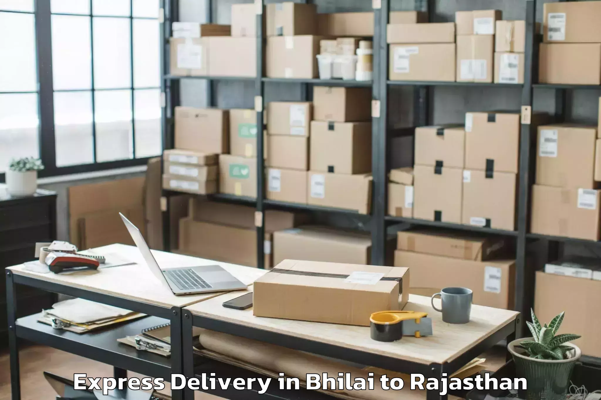 Get Bhilai to Geetanjali University Udaipur Express Delivery